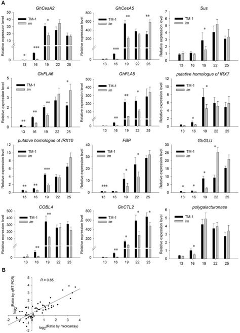 Qrt Pcr Validation Of Selected Degs A The X Axis Represents Five Download Scientific Diagram