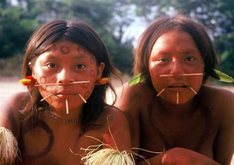 Criancas Indigenas Yanomami Brazil People Native People