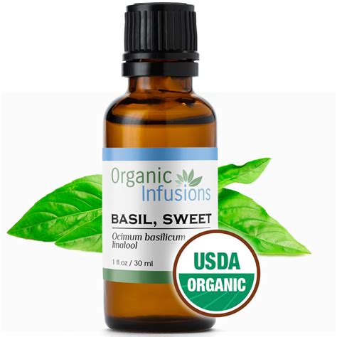 Organic Sweet Basil Essential Oil Organic Infusions Inc