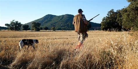 Muere un hombre tras recibir un disparo durante una cacería en Albuñol