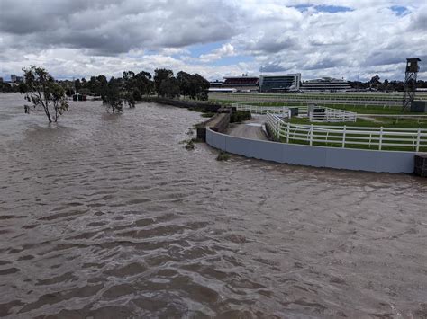 Anger Grows With Flemington Race Course Flood Wall Green Left