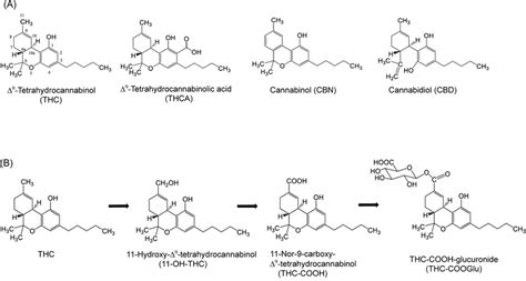 A Chemical Structures Of Major Cannabinoids Isolated From Cannabis