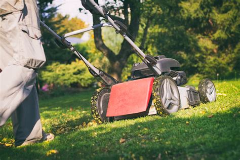 The Benefits Of Mulching Leaves Into Your Lawn Lush Lawn