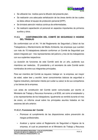 Plan De Seguridad Industrial Y Salud Ocupacional Pdf