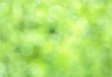 Sunny abstract green nature background, selective focus 36159187 Stock ...