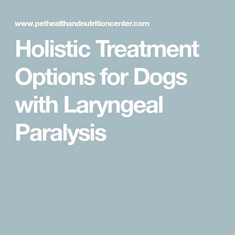 Dog Laryngeal Paralysis Natural Treatment | Holistic treatment ...