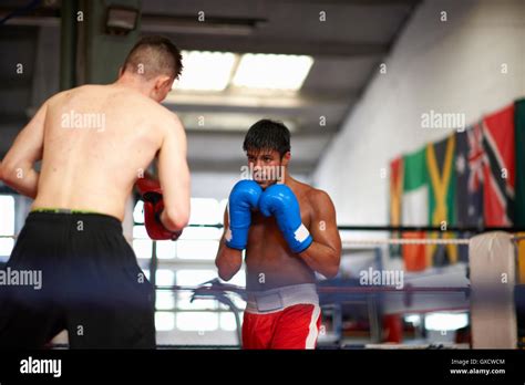 Two Boxers Sparring In Boxing Ring Stock Photo Alamy