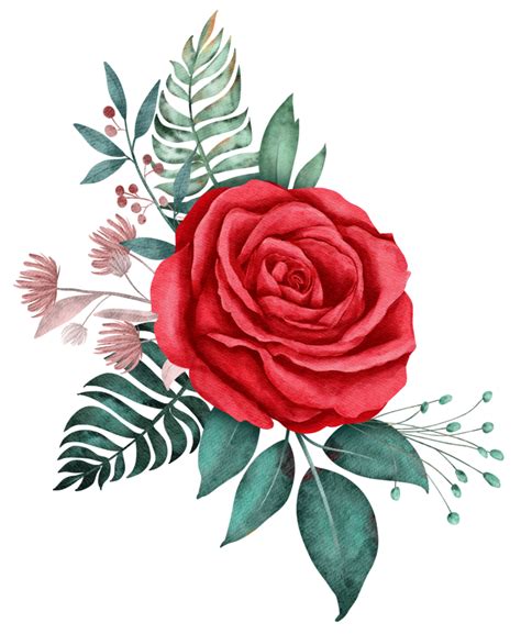 Rose Flower Bouquet Watercolor For Valentine 9667951 Png