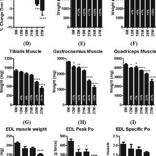 Body Organ And Muscle Weights And EDL Muscle Contractile Properties