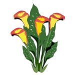 sunflower  svg