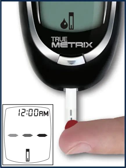 Trividia Health True Metrix Self Monitoring Blood Glucose System User Guide