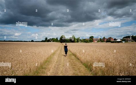 Thrupp Walking Hi Res Stock Photography And Images Alamy