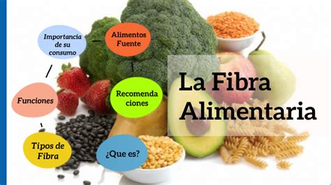 la fibra alimentaria  micaela zampis  prezi
