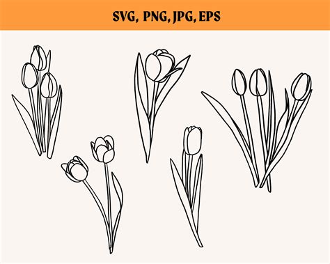 Spring Tulips Svg Bundle Tulip Svg Spring Flowers Svg Floral Svg