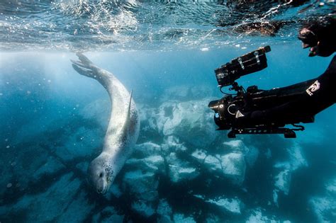 Top Des Meilleurs Documentaires Netflix Les Beaujolais Nouveaux