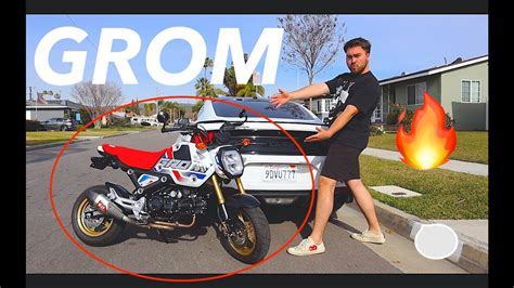 I Bought A Honda Grom Youtube