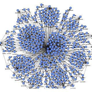 The network structure of (a) Markov blanket algorithm and (b) minimal ...