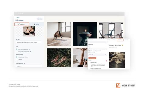 The Best HubSpot SEO Tools + How to Use Them