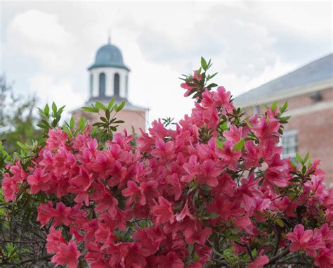 Centenary College of Louisiana | Campus