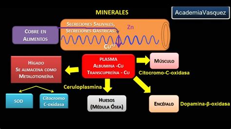 Minerales Cobre YouTube