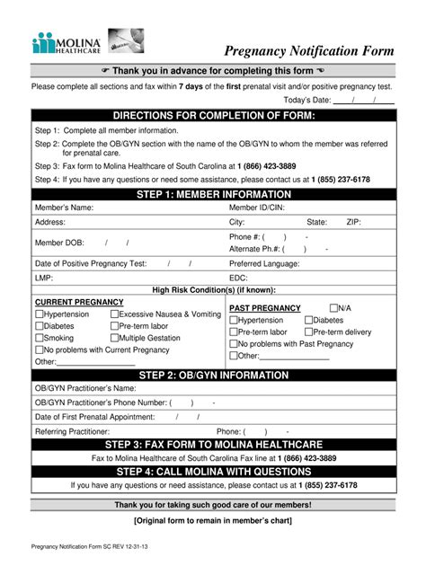 Printable Positive Pregnancy Test Form