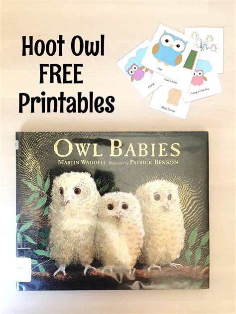 Hoot Owl Story Time For Preschoolers My Storytime Corner Owl Babies