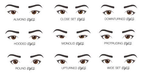 Eye Shape Chart: Understanding Different Eye Shapes - 2024