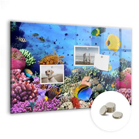 Tableau magnétique décoratif La vie sous marine Tulup fr