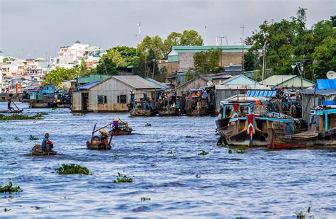 19 Best Places To Visit In The Mekong Delta Rainforest Cruises