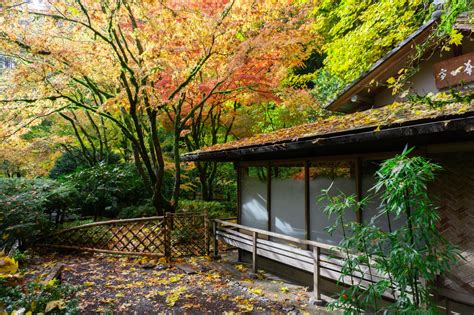 Fall Color Updates – Portland Japanese Garden