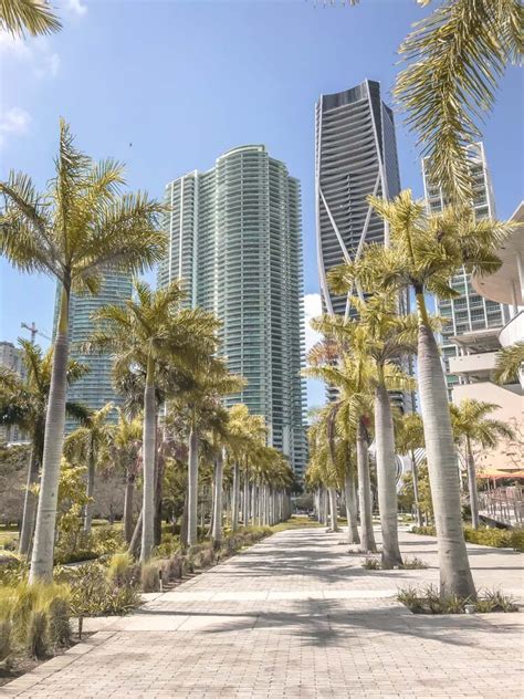 Guía de Miami Las 10 mejores cosas que hacer en Miami Dónde Alojarse