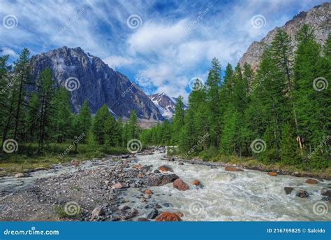 Alpine Valley At The Foot Of The Mountain And Aktru Glaciers Trees