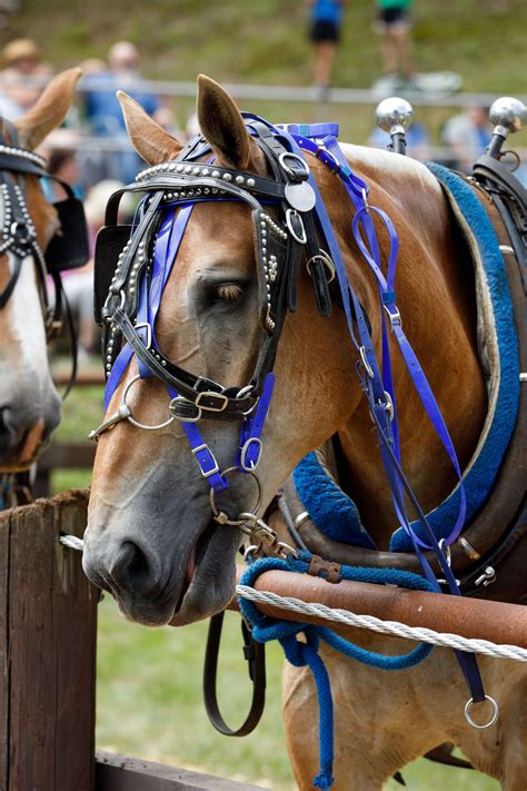 History of The Cornish Fair in Cornish NH