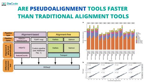 Are Psuedoalignment Tools Faster than Traditional Alignment Tools – BioCode