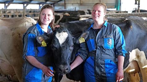 Levensduur In Stappen Naar De Beste Melkrobot Prestaties Melkvee