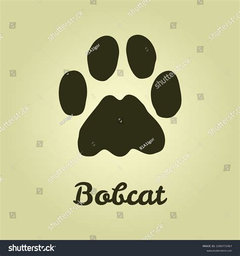 Lynx Tracks Bobcat Paw Print Wildlife Stock Vector (Royalty Free ...