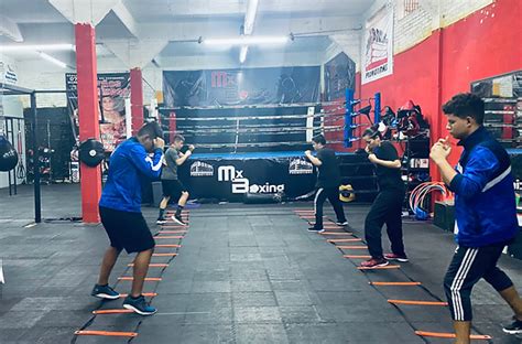 Mejores Escuelas de Boxeo en León Guanajuato Clases y dónde aprender