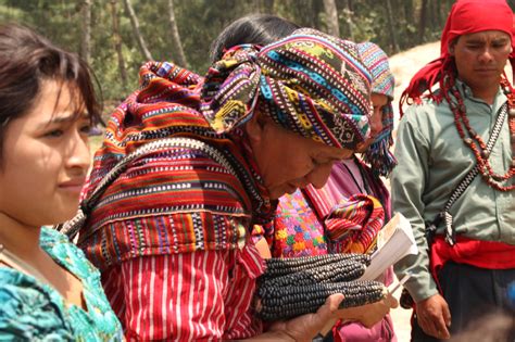 Desafíos De Los Pueblos Indígenas De Cara A La Cop26 Servindi