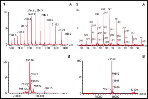 Uplc Esi Ms Analysis Of Transferrin Standard 1a And 1b And Human