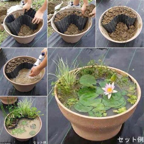 Fascinating Low Budget Diy Mini Ponds In A Pot Amazing Diy