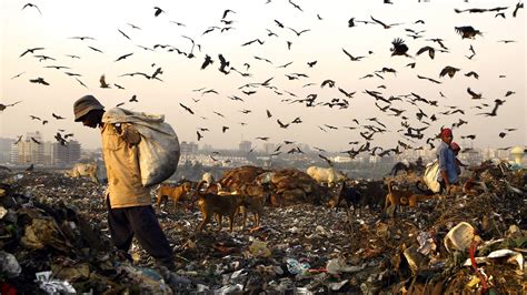 report eliminating waste   climate solution grist