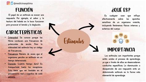 Estímulos Mapa Mental Medicina Óptima uDocz