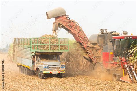 Sugar cane harvesting in Thailand Stock Photo | Adobe Stock