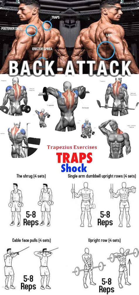 The Best Trap Workouts And Exercise Guides Video