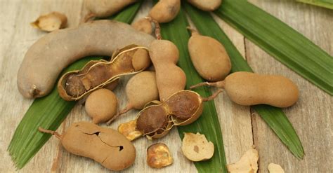 Insira o tamarindo na sua dieta e renove o fígado