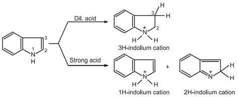 Synthesis And Reactions Of Indole Solution Parmacy