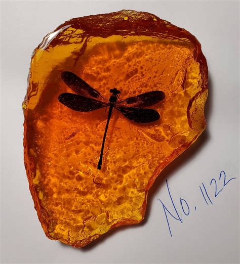 Dragonfly In Amber Resin Size Medium Rock For Outlander By Diana