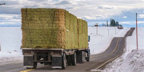 Hay Hauling Solutions • Freightmonster