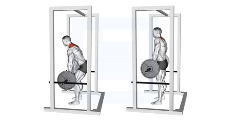 Barbell Power Shrug - Guide, Benefits, and Form