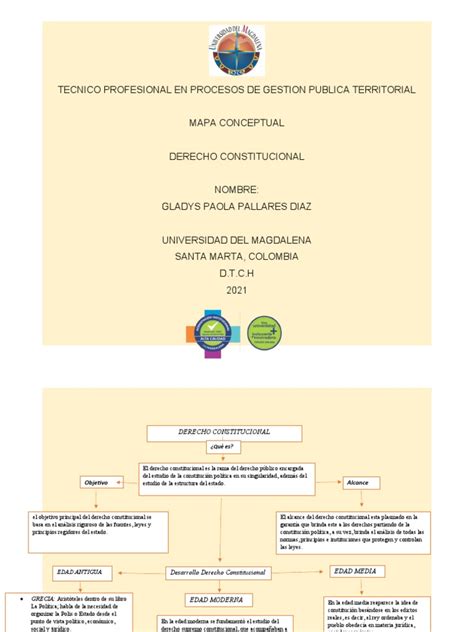 Mapa Conceptual Derecho Constitucional Descargar Gratis Pdf